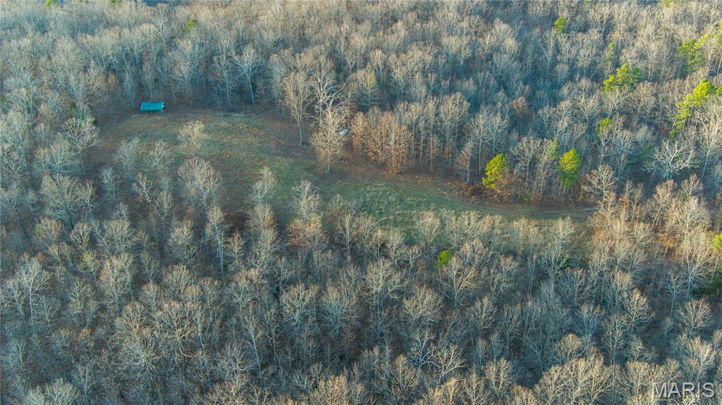 0 County Road 385 Hartshorn, MO 65479 - Photo 15 of 19