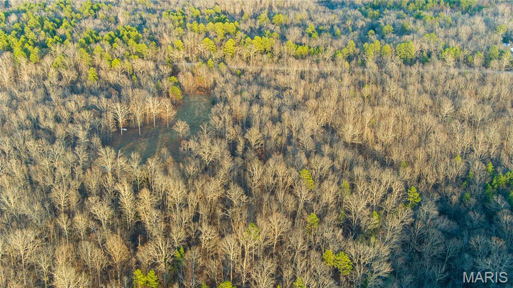 0 County Road 385 Hartshorn, MO 65479 - Photo 16 of 19