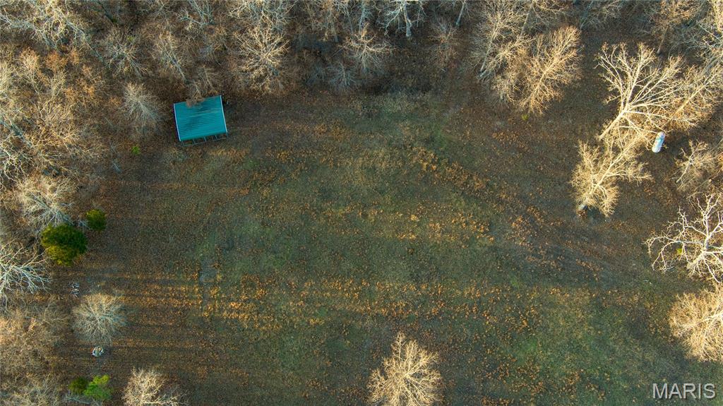 0 County Road 385 Hartshorn, MO 65479 - Photo 17 of 19