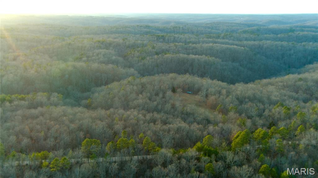 0 County Road 385 Hartshorn, MO 65479 - Photo 2 of 19