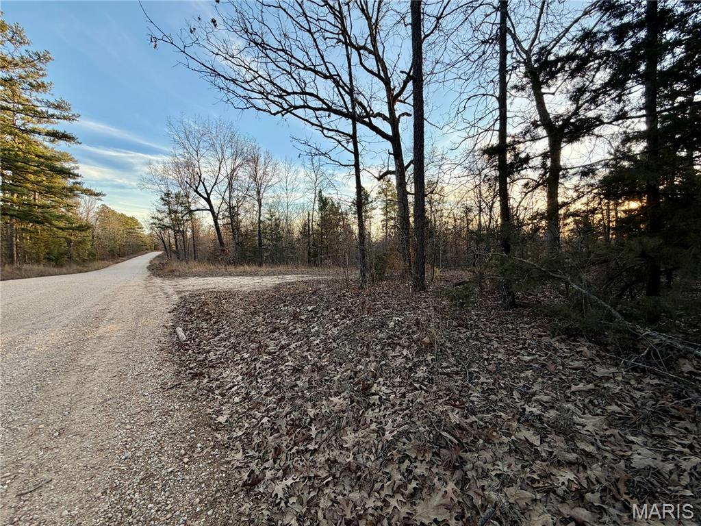 0 County Road 385 Hartshorn, MO 65479 - Photo 3 of 19