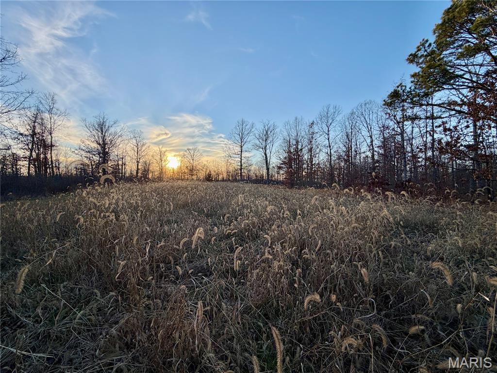 0 County Road 385 Hartshorn, MO 65479 - Photo 4 of 19