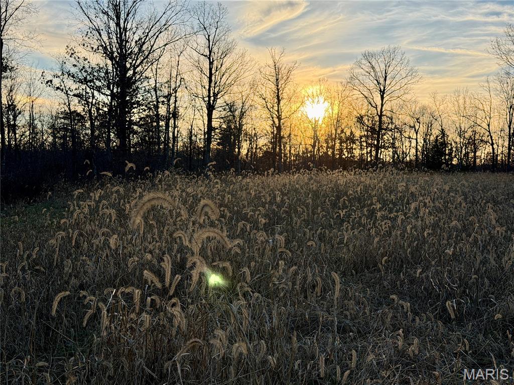 0 County Road 385 Hartshorn, MO 65479 - Photo 5 of 19