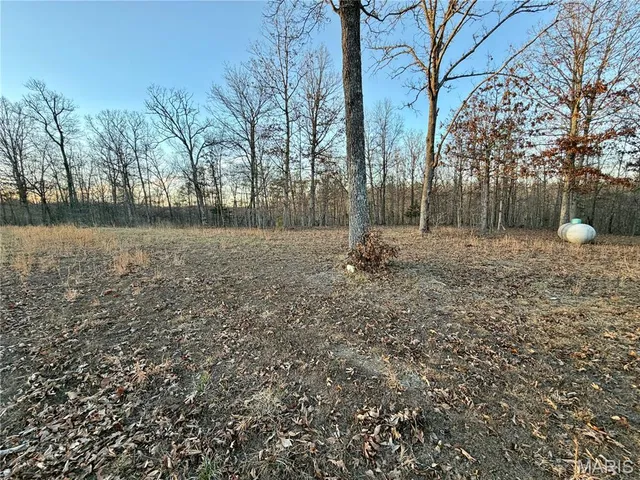 $68,000 | 0 County Road 385, Hartshorn, MO 65479
