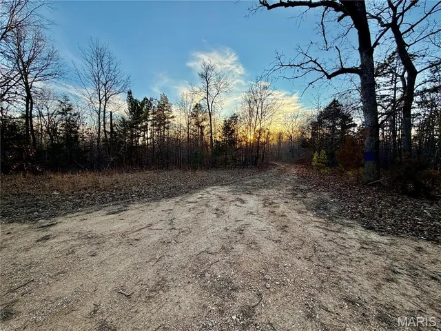 $68,000 | 0 County Road 385, Hartshorn, MO 65479