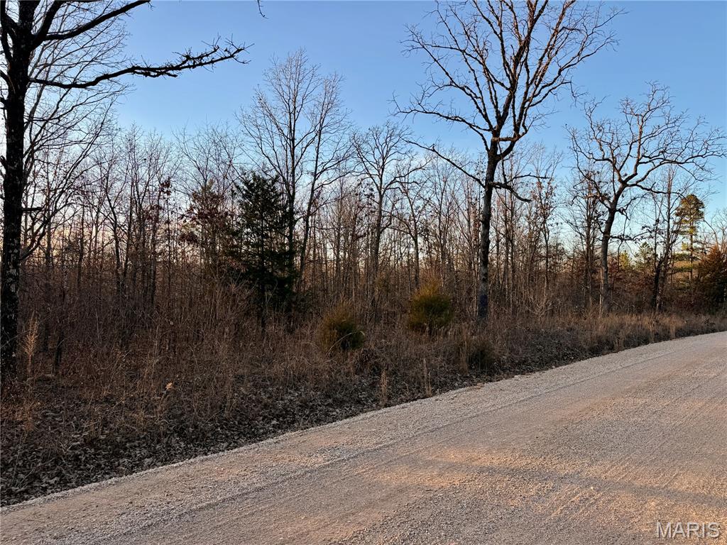 0 County Road 385 Hartshorn, MO 65479 - Photo 10 of 19