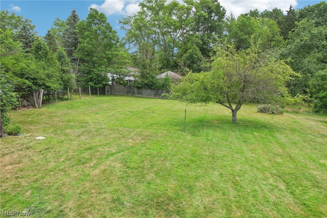3873 Baumberger Road Stow, OH 44224 - Photo 46 of 50 View of yard