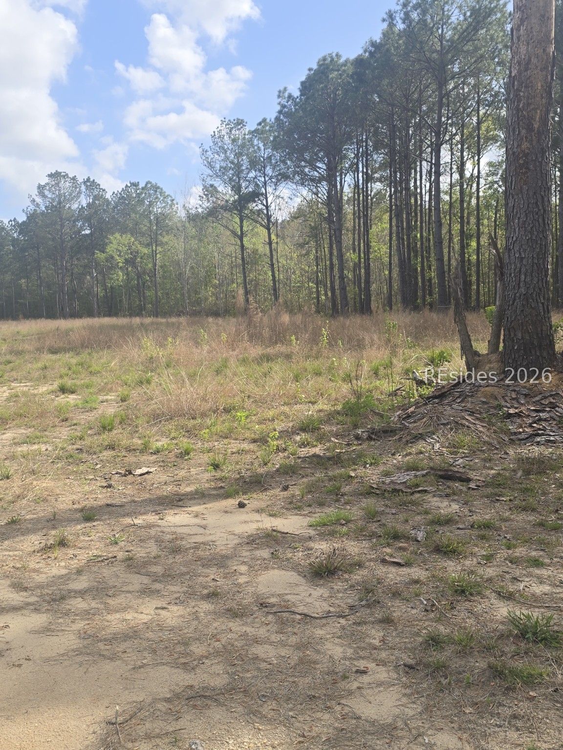 L4-lot B Roseland Road Ridgeland, SC 29936 - Photo 6 of 6