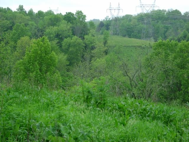 3702 Union Ridge Road Frankfort, KY 40601 - Photo 8 of 12 Photo 8