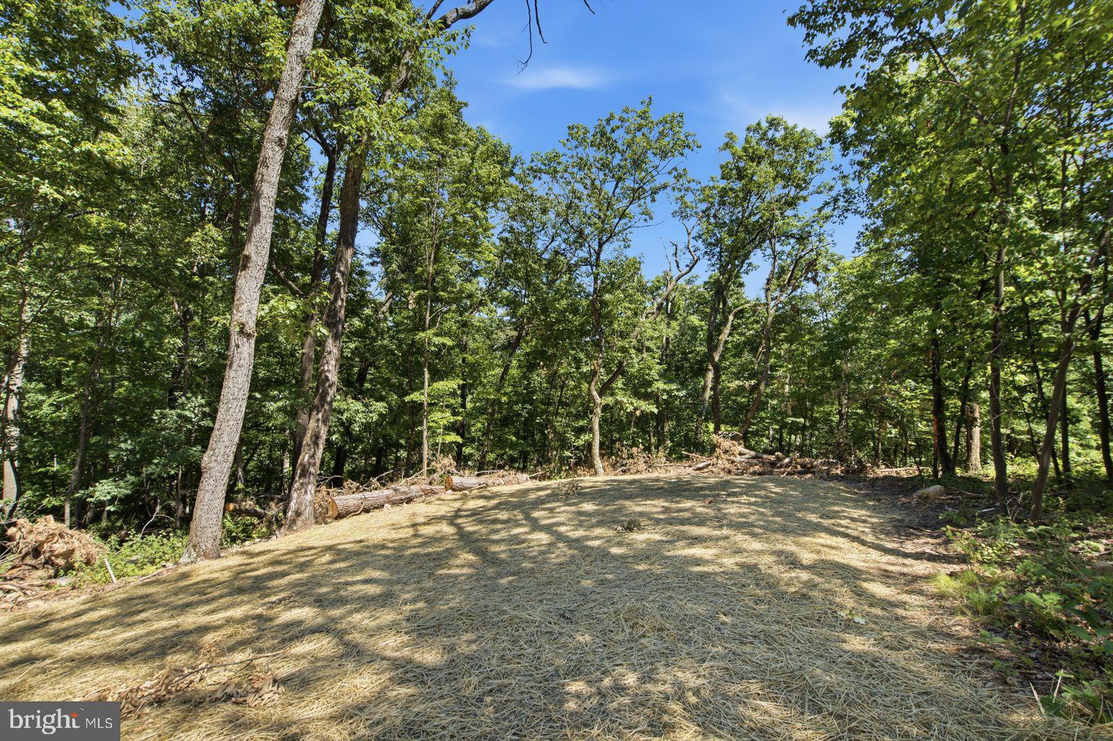 127 Inca Trail Winchester, VA 22602 - Photo 18 of 18