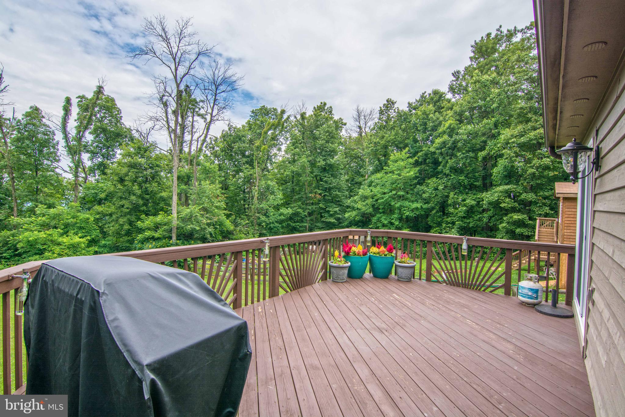 2687 High Top Road Linden, VA 22642 - Photo 17 of 49