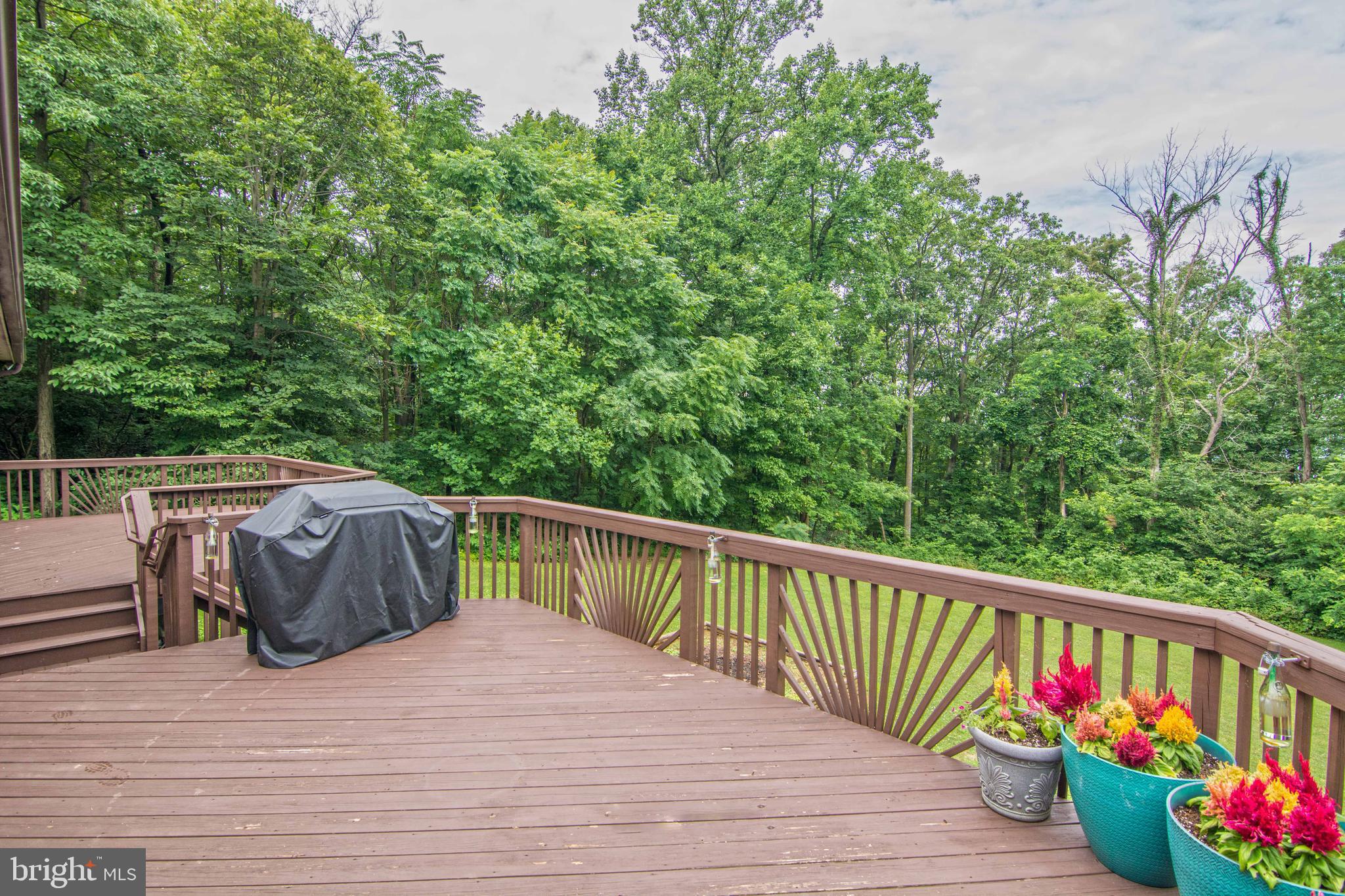 2687 High Top Road Linden, VA 22642 - Photo 19 of 49