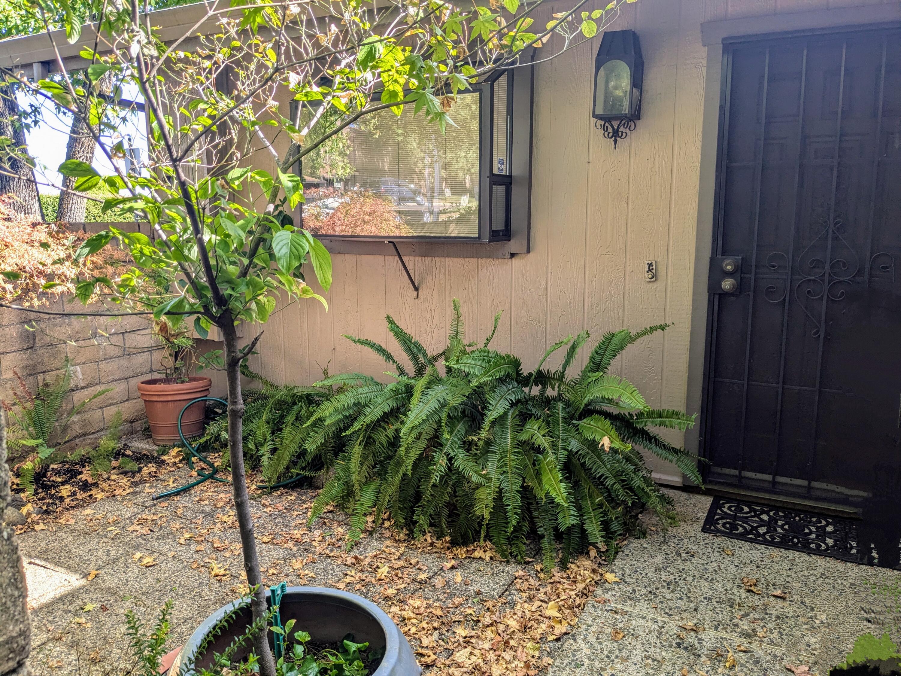 1974 Bechelli Lane Redding, CA 96002 - Photo 7 of 49 a potted plant sitting in front of a door