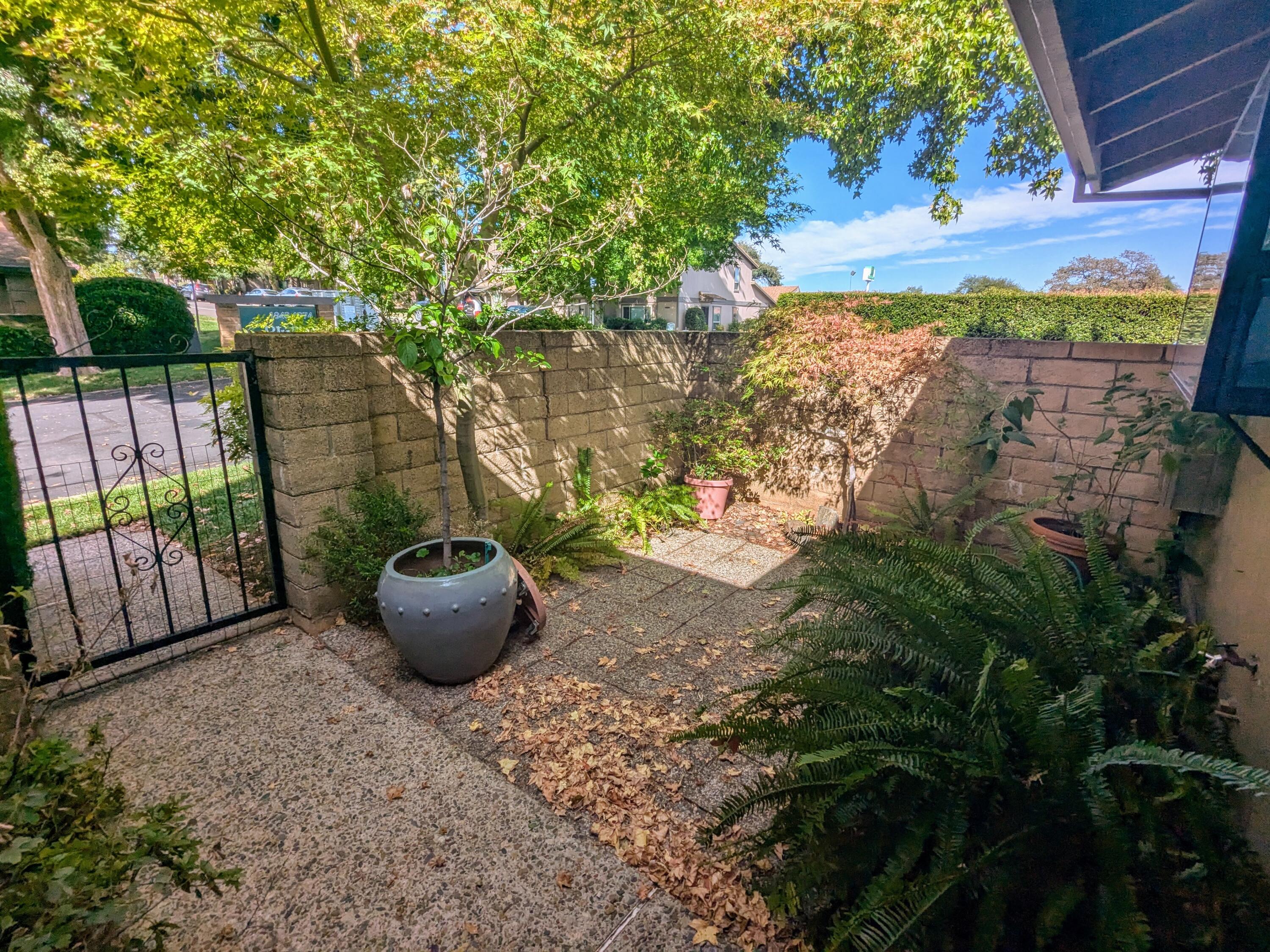 1974 Bechelli Lane Redding, CA 96002 - Photo 8 of 49 a view of a backyard with garden