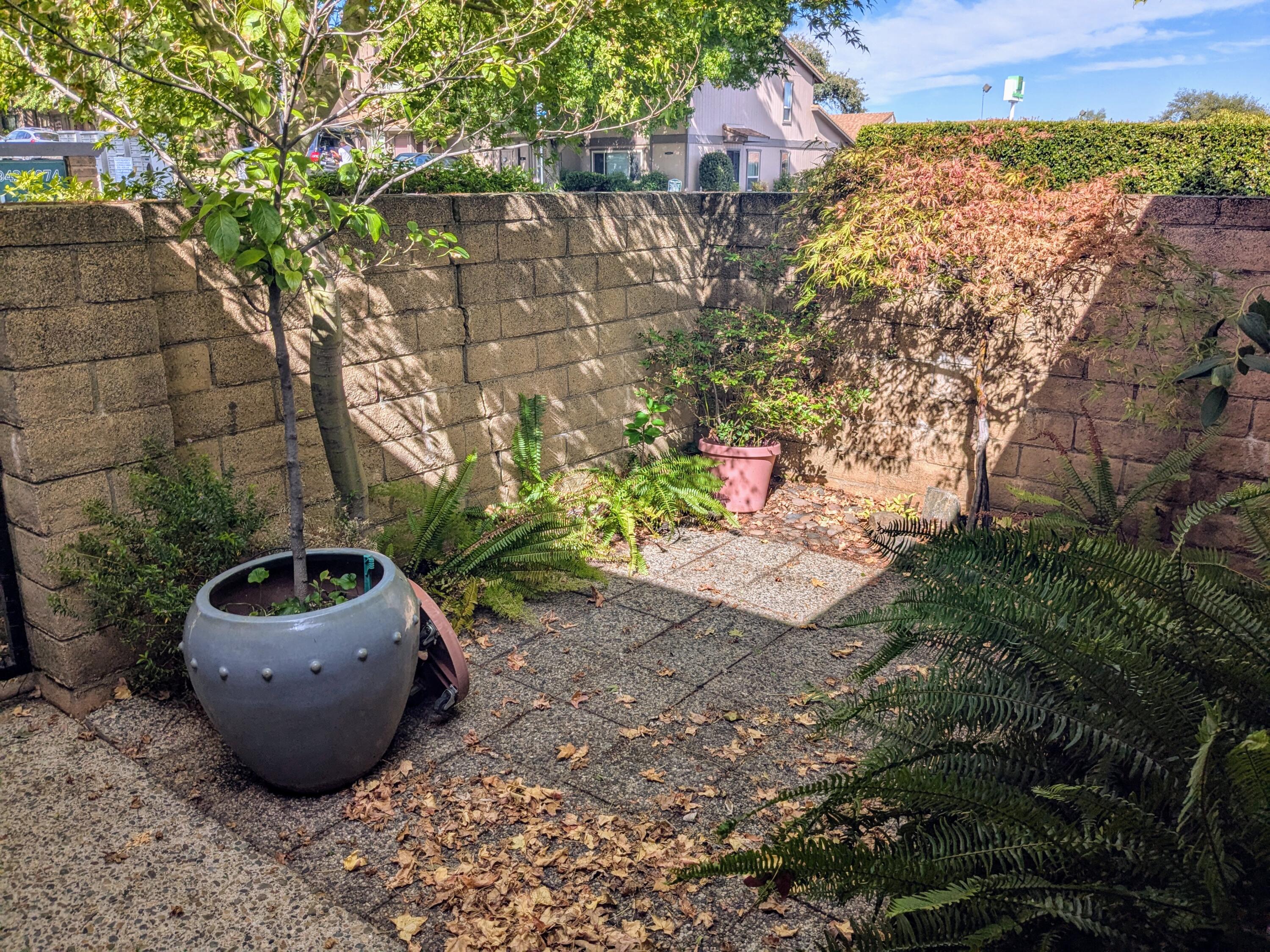 1974 Bechelli Lane Redding, CA 96002 - Photo 9 of 49 a view of a backyard with plants and large tree