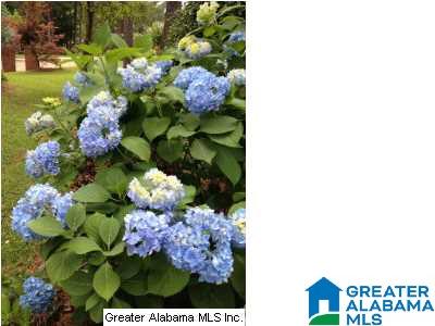 924 Monmouth Road Tuscaloosa, AL 35406 - Photo 15 of 17