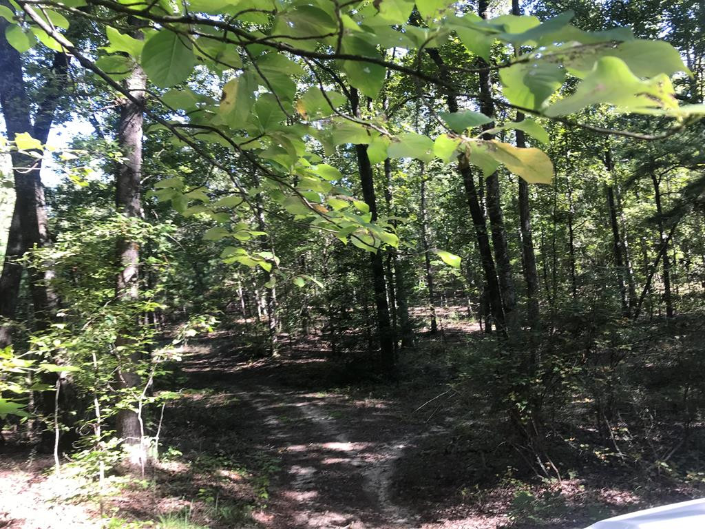 462 Colbert Bridge Road Windsor, SC 29856 - Photo 11 of 18