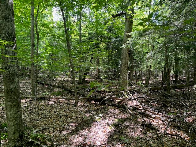 Lot 28 Fawn Lane Ellison Bay, WI 54210 - Photo 4 of 8