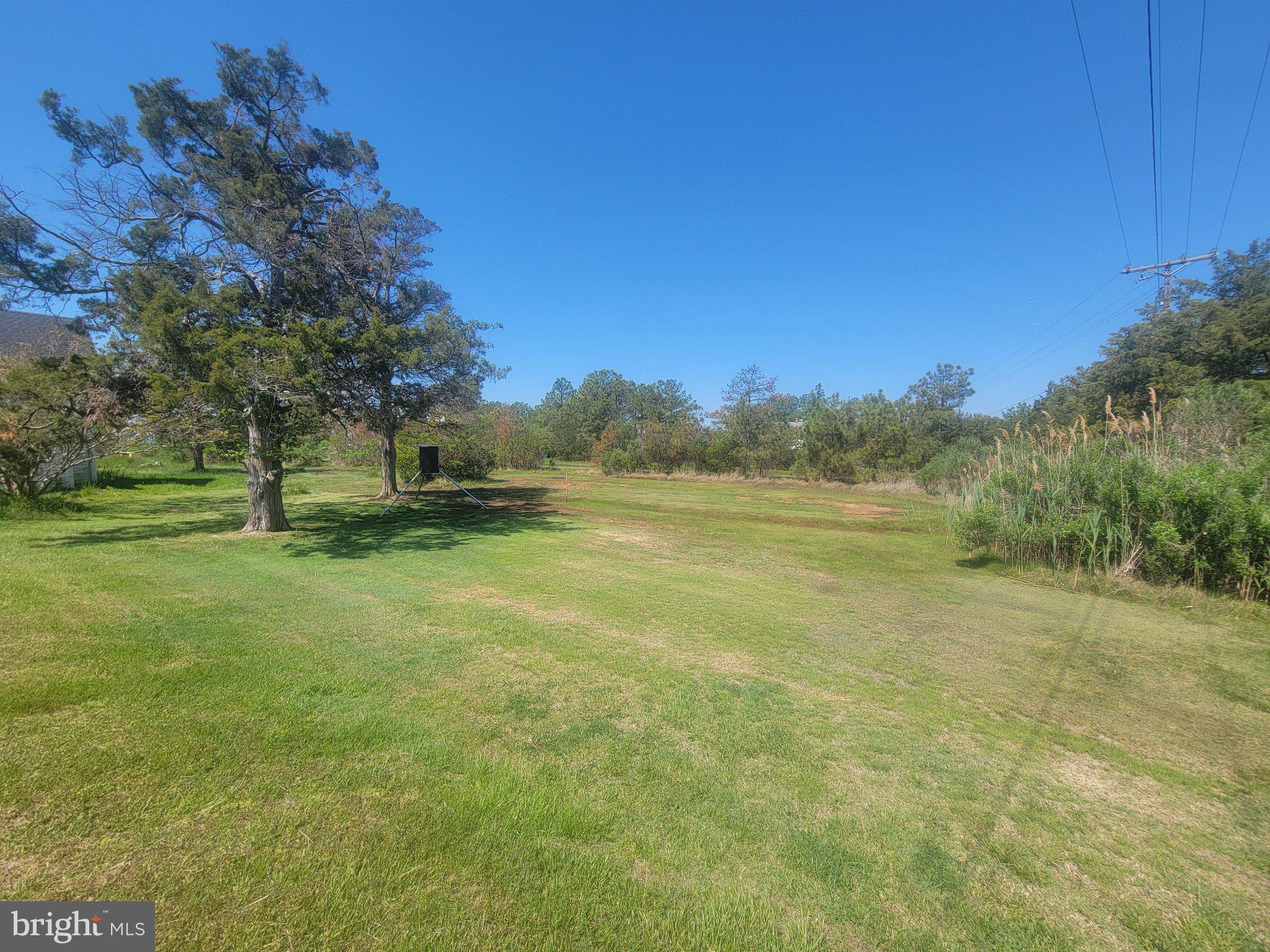 2106 Wingate Bishops Head Road Wingate, MD 21675 - Photo 3 of 37 Spacious green landscape under blue skies.