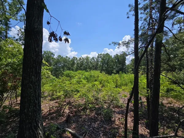 $68,000 | Elam Way, Savannah, TN 38372