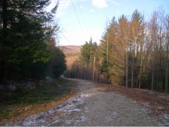 165 Newfound Hills Road Alexandria, NH 03222 - Photo 4 of 6