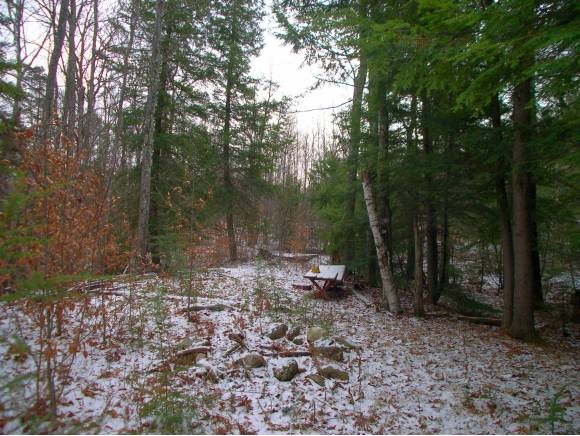 165 Newfound Hills Road Alexandria, NH 03222 - Photo 5 of 6