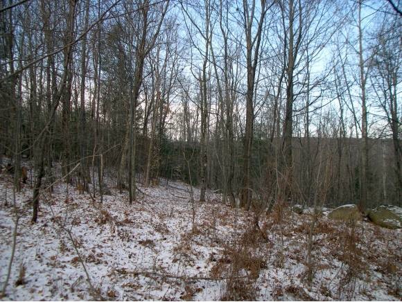 165 Newfound Hills Road Alexandria, NH 03222 - Photo 6 of 6