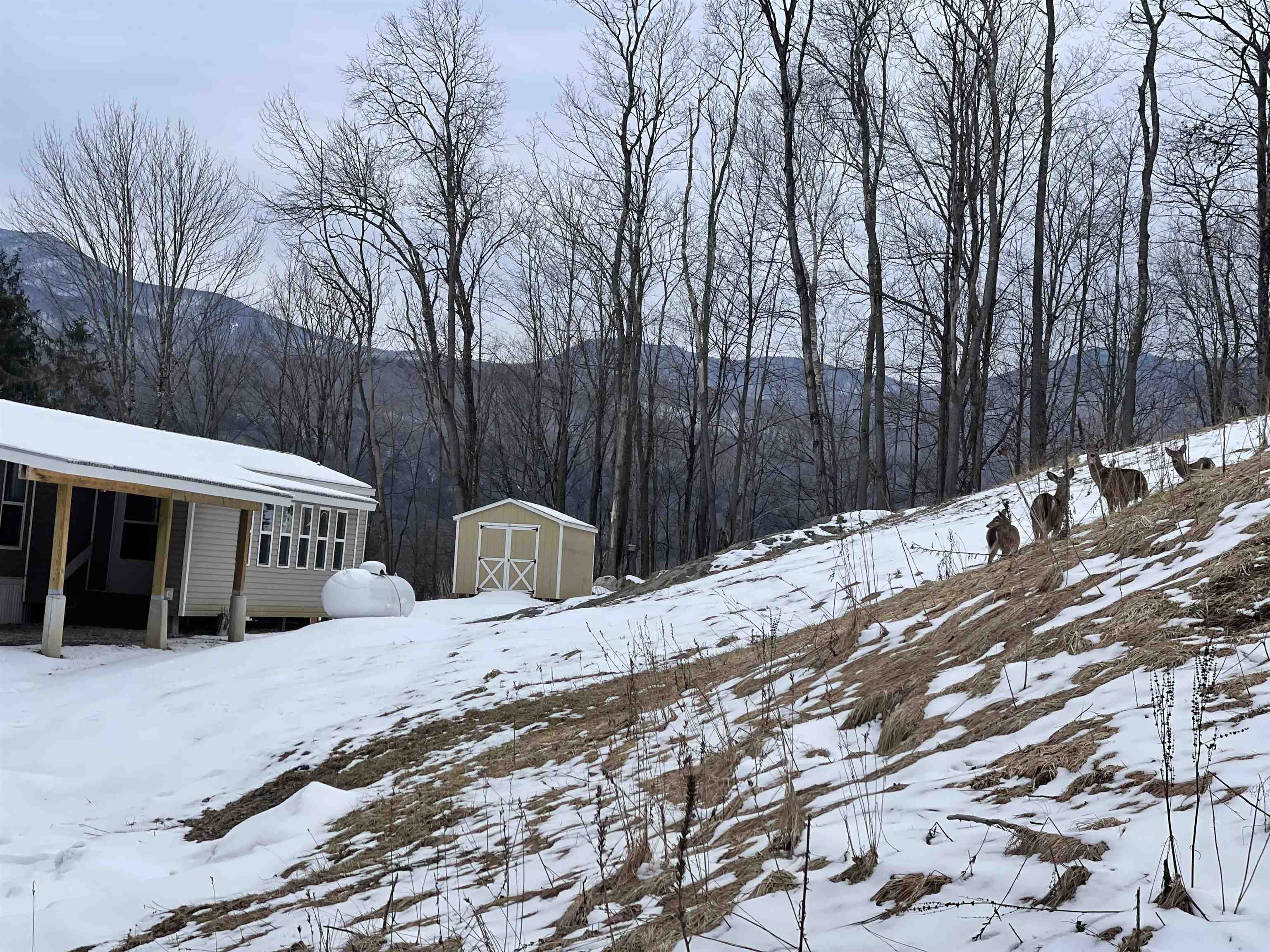 47 Gould Hill Johnson, VT 05656 - Photo 14 of 21