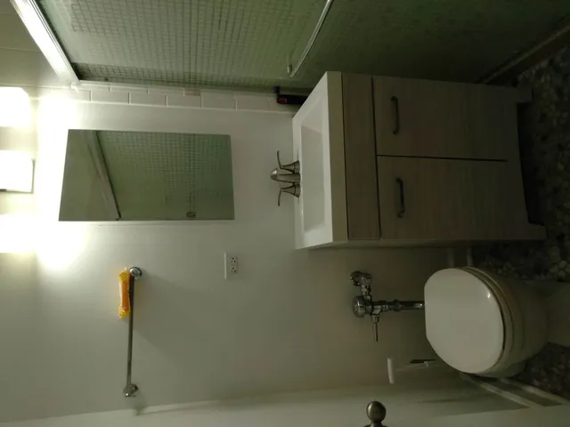 $1,445 | 907 Austin Street, Unit 2, Evanston, IL 60202