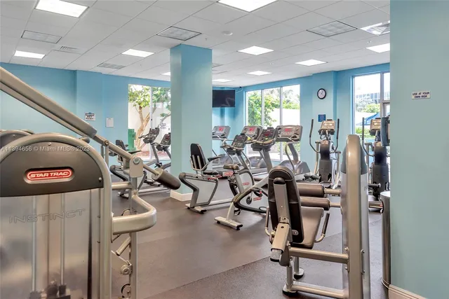 a view of a yard with plants and a building