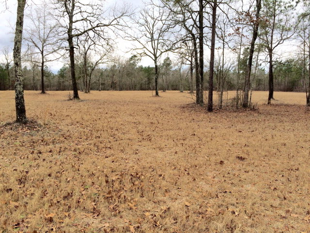 0 Parque Lane Aiken, SC 29803 - Photo 1 of 1