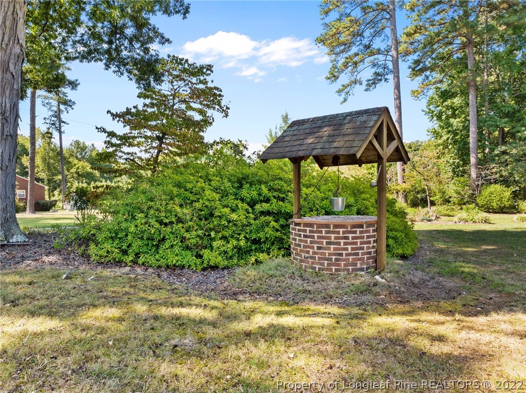 276 Reno Sharpe Store Road Bear Creek, NC 27207 - Photo 32 of 39 Gallery Image 32