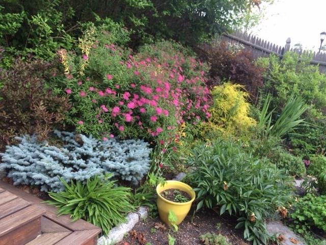 19 Scott Dyer Road Cape Elizabeth, ME 04107 - Photo 3 of 35 Beautiful gardens as you walk up the...