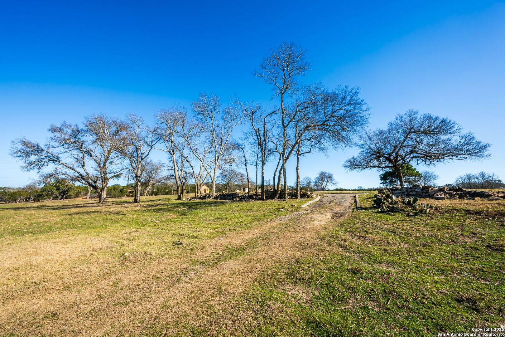 327 Waring Welfare Road Boerne, TX 78006 - Photo 16 of 17 a view of yard with swimming pool and trees