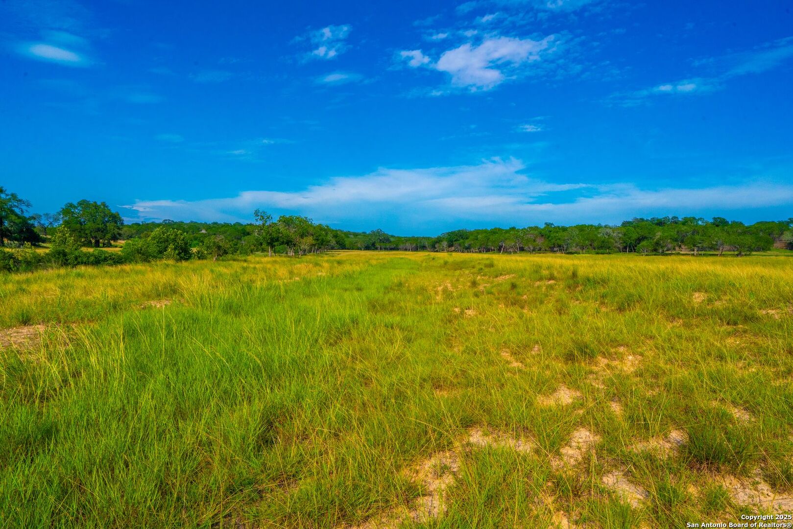 327 Waring Welfare Road Boerne, TX 78006 - Photo 17 of 17 a view of an ocean from a yard