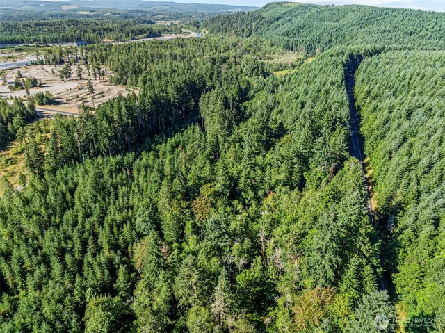 a view of a green field