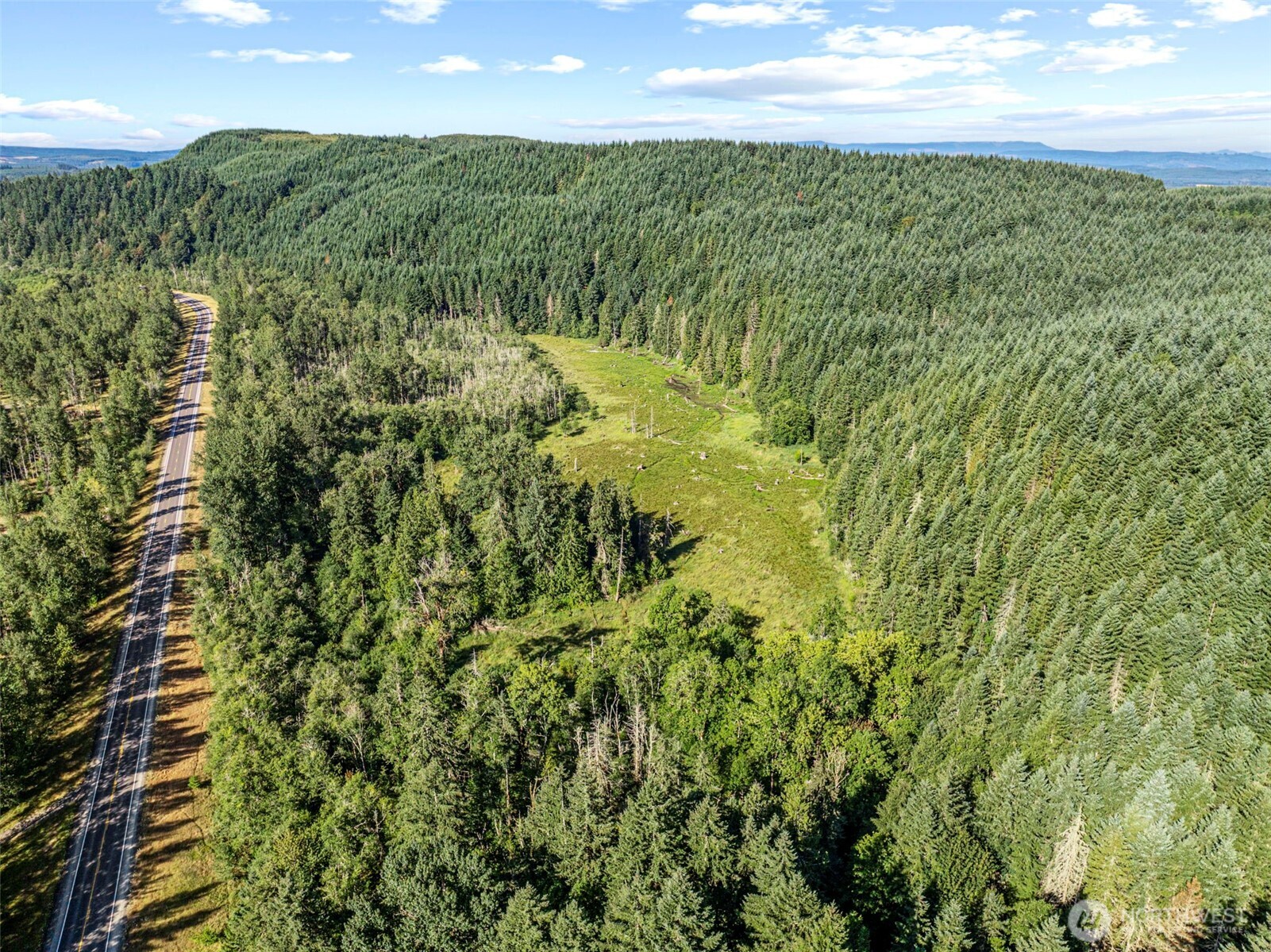 -nka Nka Tower Road Toutle, WA 98649 - Photo 3 of 7 a view of a big yard with large trees