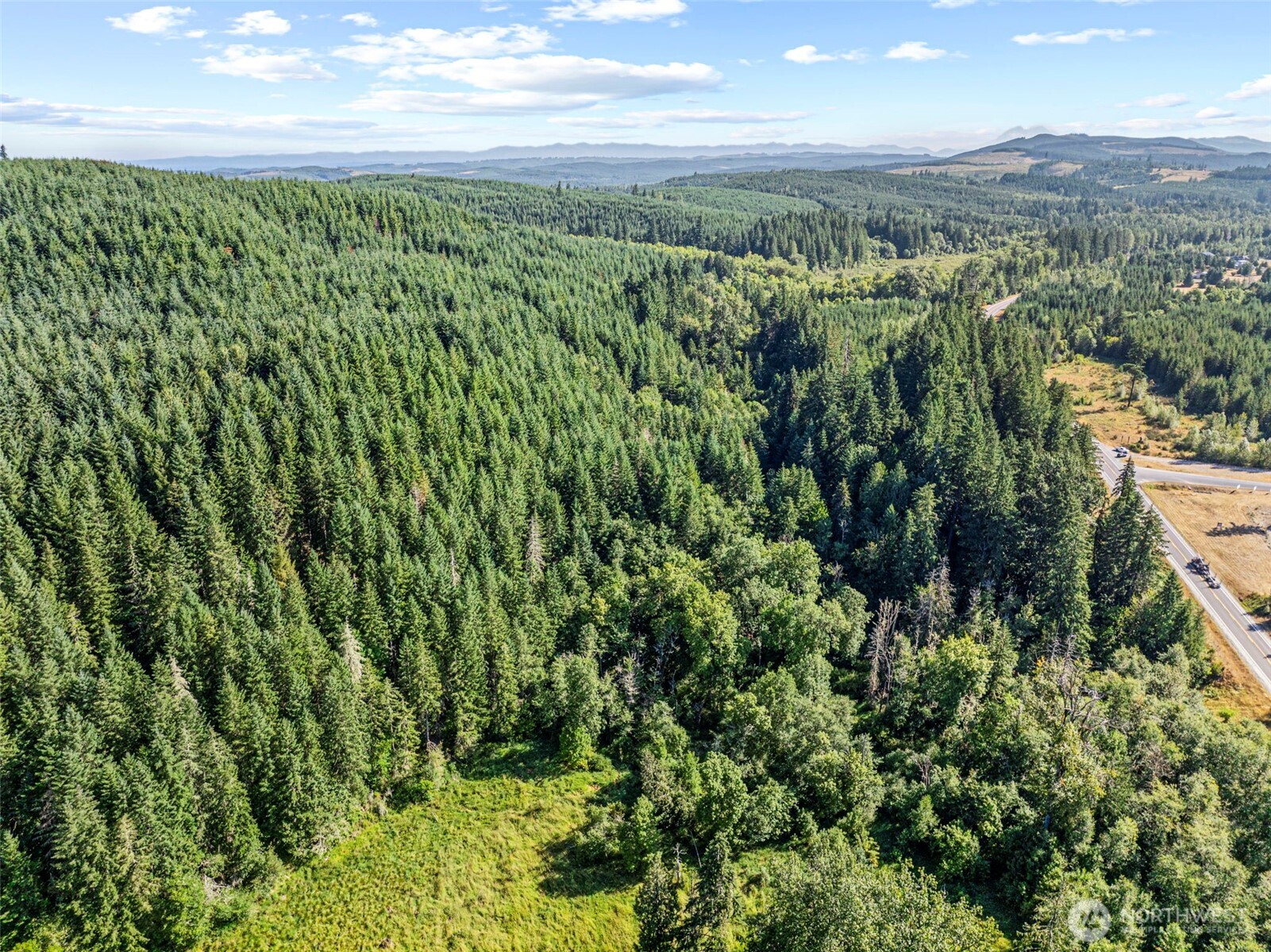 -nka Nka Tower Road Toutle, WA 98649 - Photo 4 of 7 a view of a green field with lots of bushes