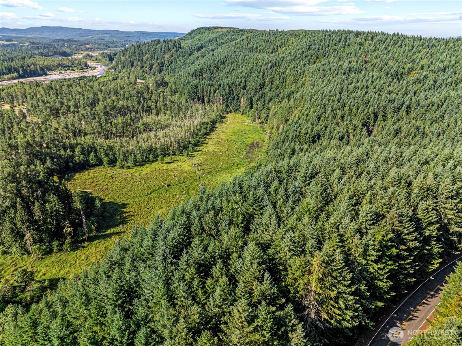 -nka Nka Tower Road Toutle, WA 98649 - Photo 7 of 7 a view of a green field with lots of bushes