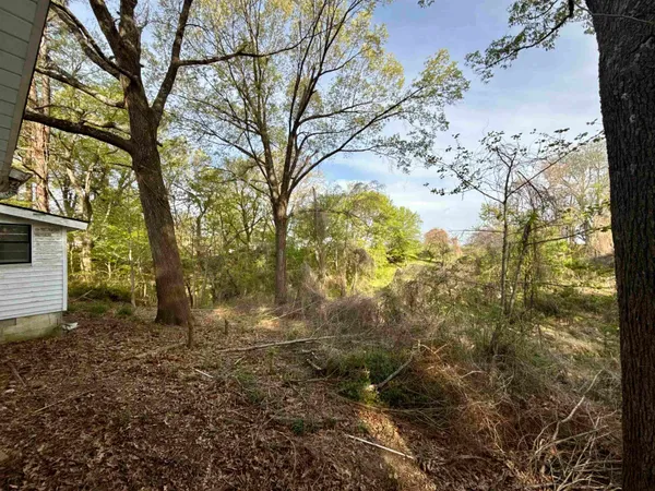 $120,000 | 845 Needham Road, Drummonds, TN 38023