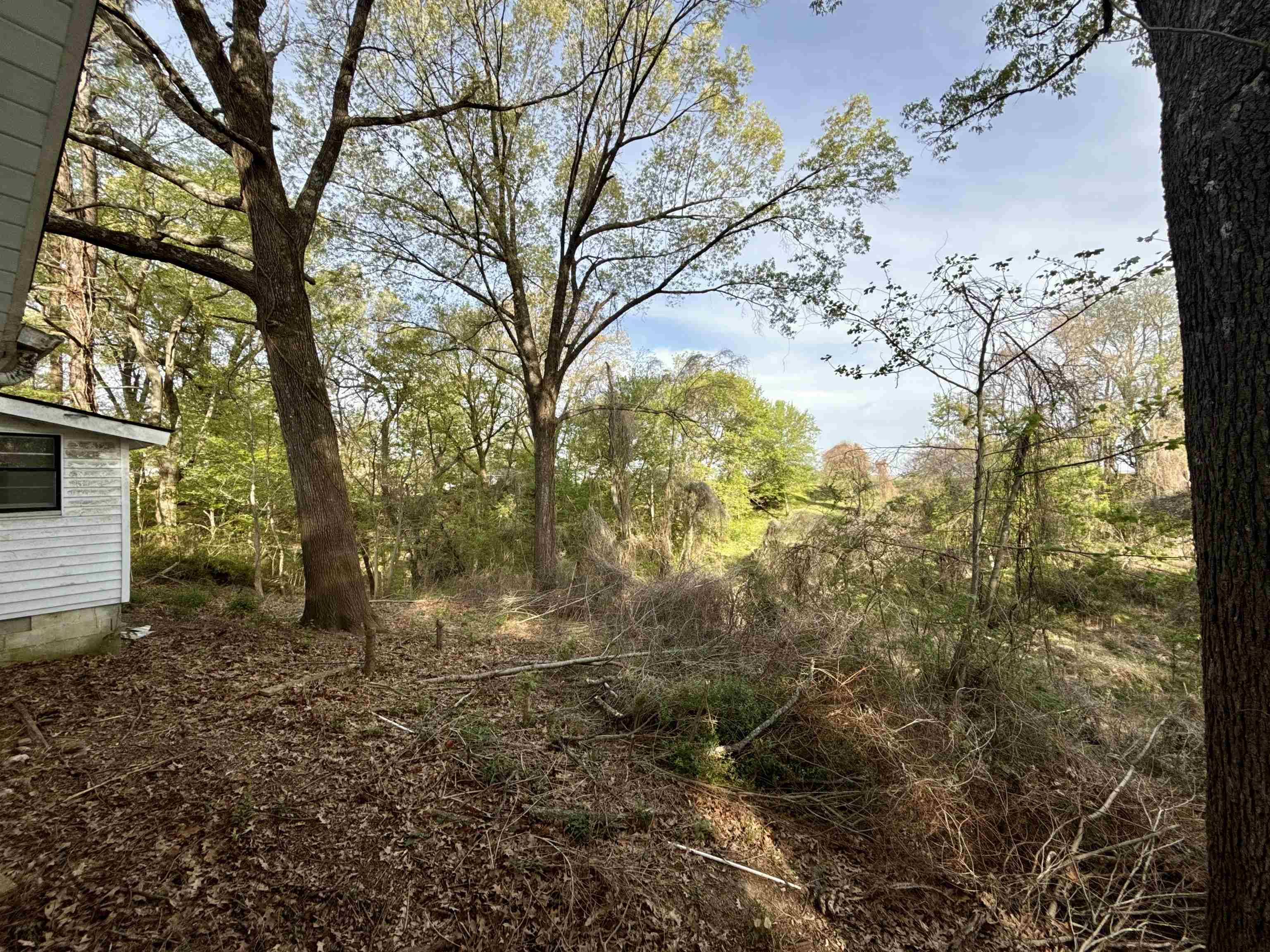 845 Needham Road Drummonds, TN 38023 - Photo 22 of 22 View of nature