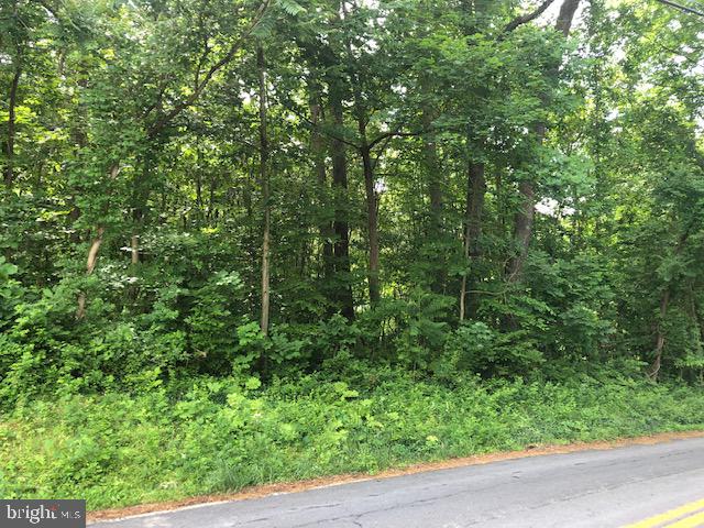 Lot #5 Mccauley Road Conowingo, MD 21918 - Photo 3 of 8