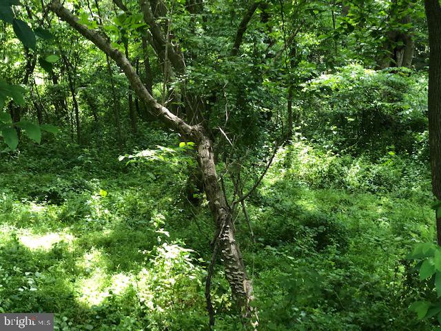 Lot #5 Mccauley Road Conowingo, MD 21918 - Photo 6 of 8