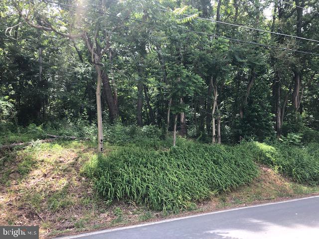 Lot #5 Mccauley Road Conowingo, MD 21918 - Photo 7 of 8 Another walking access to property