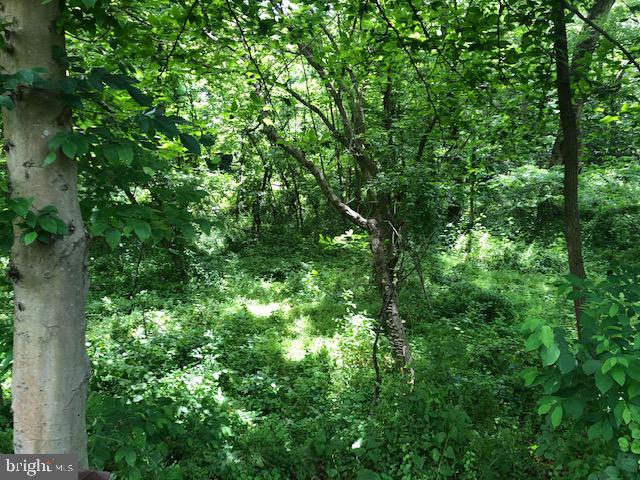 Lot #5 Mccauley Road Conowingo, MD 21918 - Photo 8 of 8