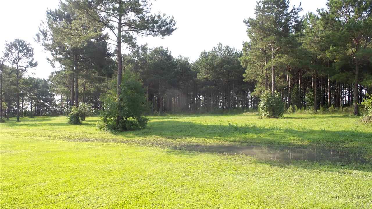 0 Beacon Lane Atmore, AL 36502 - Photo 2 of 9
