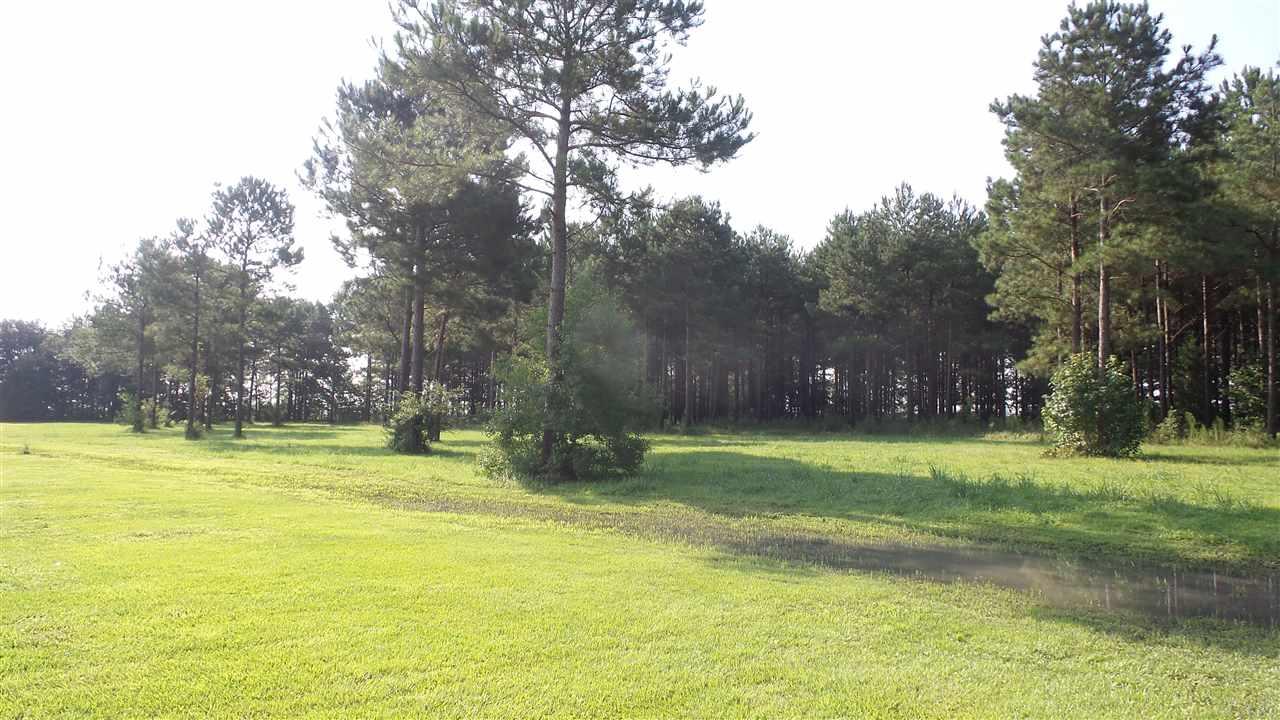 0 Beacon Lane Atmore, AL 36502 - Photo 3 of 9