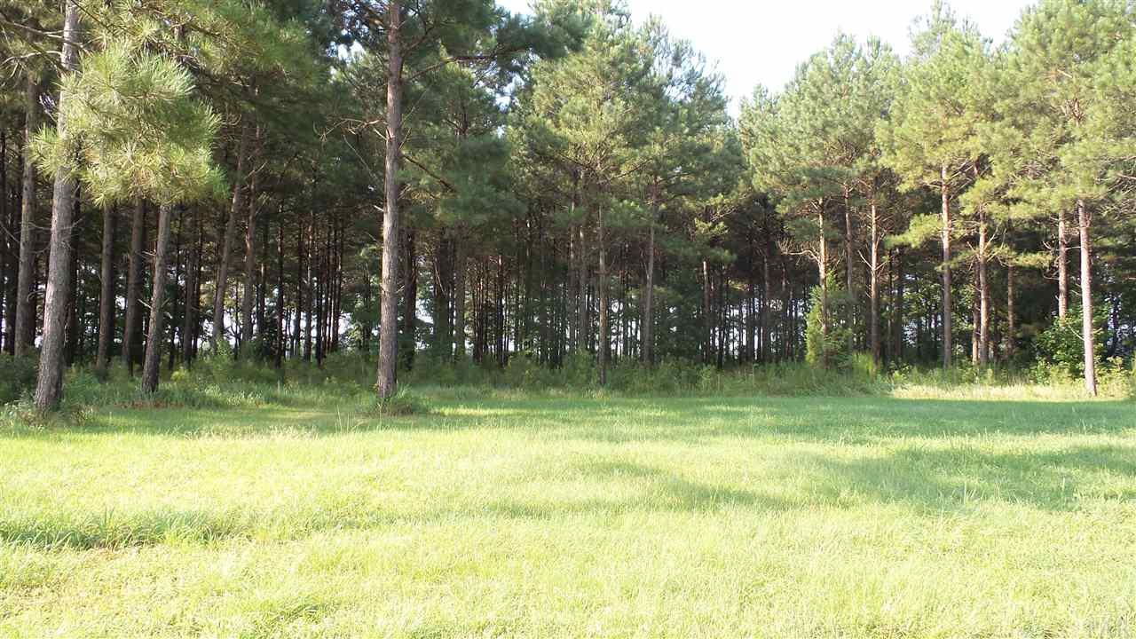 0 Beacon Lane Atmore, AL 36502 - Photo 4 of 9