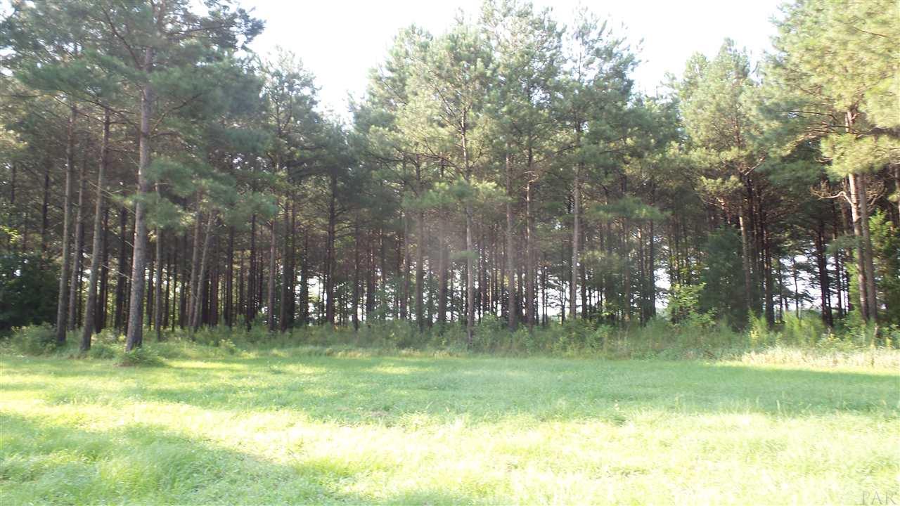 0 Beacon Lane Atmore, AL 36502 - Photo 5 of 9
