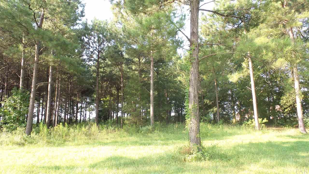 0 Beacon Lane Atmore, AL 36502 - Photo 6 of 9